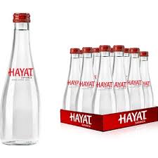 HAYAT 0,33 CAM 12 Lİ