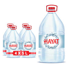 HAYAT 5 LT PET 4LÜ KOLİ