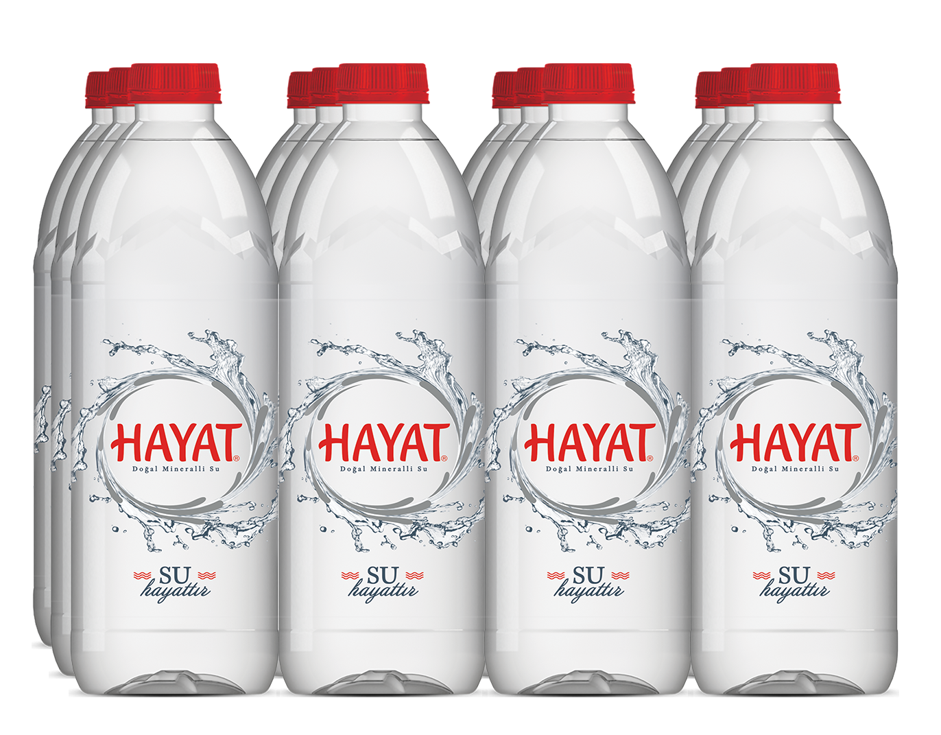 HAYAT 6 LI 1 L PREMİUM