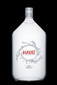 HAYAT15 LT CAM DEPOZİTO