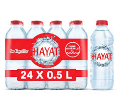 HAYAT 0.5 LT PET 24LÜ KOLİ