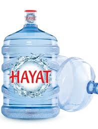 HAYAT 19 LT DAMACANA DEPOZİTOLU